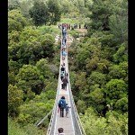 Pont suspendu, Parc Nesher, Carmel. הוואדי שמתחת לגשר